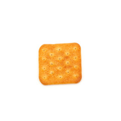 one salty cracker flat on white