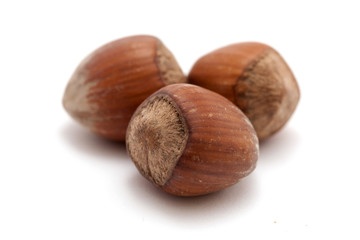 filberts