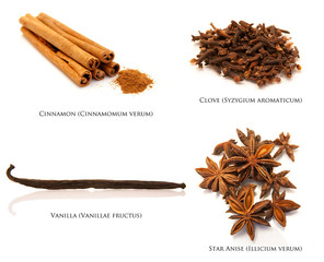 christmas spices