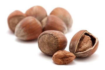 filberts