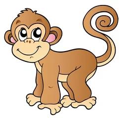 Keuken foto achterwand Zoo Schattige kleine aap