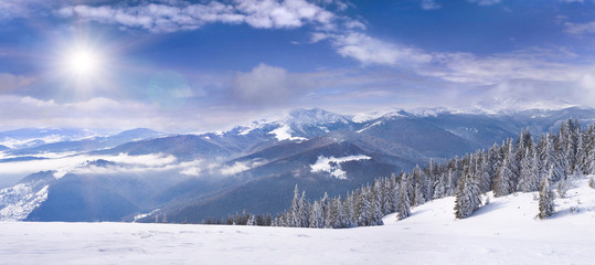 Fototapeta na wymiar Zimowy krajobraz w Karpatach