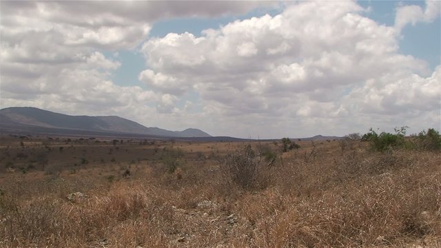 Landschaft Afrikas