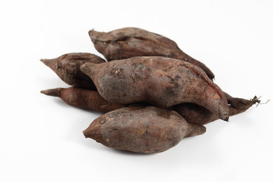 Yacon Bilder Durchsuchen 807 Archivfotos, und Videos