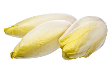 Brussels Chicory isolated over white