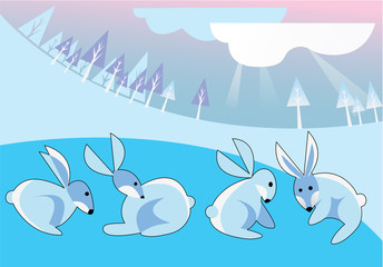 winter rabbits