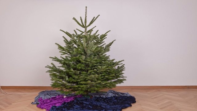 Weihnachtsbaum schm&uuml;ckt sich