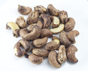 Cashew