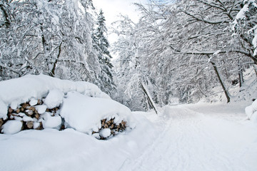 Fototapeta na wymiar Winterwanderweg