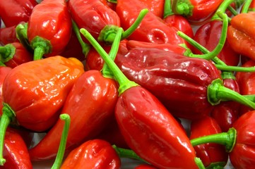 IMG_2435_muchChillies.jpg