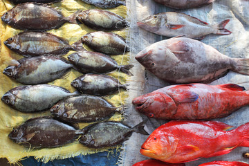 Fish market
