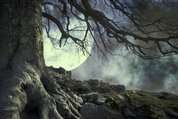 notte di luna piena © luigi giordano