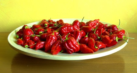 IMG_2474_chilli_dish.jpg