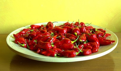 IMG_2475_chilli_dish.jpg