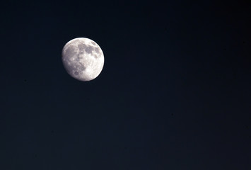 Obraz na płótnie Canvas New moon