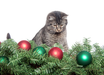 Fototapeta na wymiar Cute tabby kitten with Christmas tree and ornaments