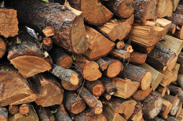 Firewood
