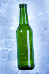 Cold beer bottle
