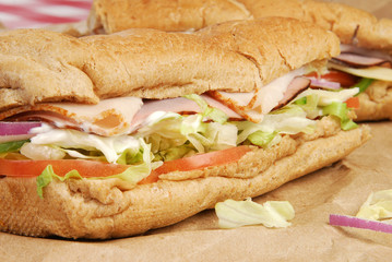 Closeup shot of a sub sandwich