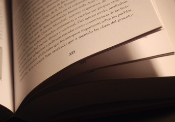 PÁGINAS, LECTURA, LIBRO