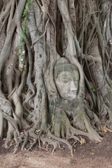 Fototapeta na wymiar Wat Mahathat Ayutthaya