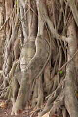 Wat Mahathat Ayutthaya