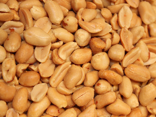 cacahuète - Arachis hypogaea