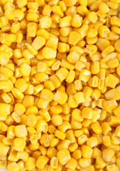 corn texture background