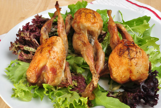 gegrillte Wachteln auf einem Salatteller