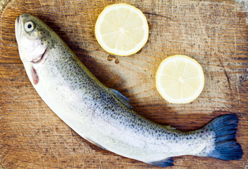 Prepering trout fish, vegetarian food
