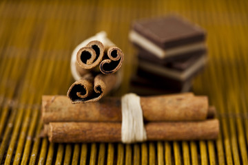 Cinnamon and Chocolate