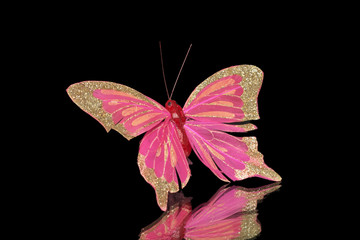 decorative butterfly on a black background
