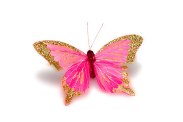 decorative butterfly on a white background