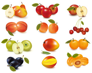 Big group of sweet fruit. Vector.