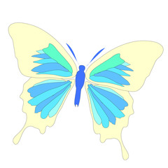 Yellow butterfly illustration