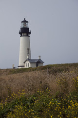 Fototapeta na wymiar Yaquina Head Lighthouse w Oregon Coast