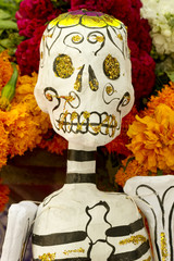 Mexican Day of Dead Skeleton
