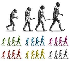 human evolution