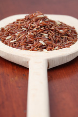 Red rice