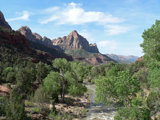 USA - Zion Nationalpark 04