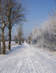 Snow Road