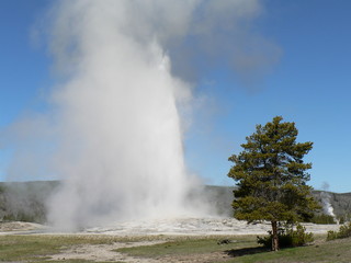 USA - Yellowstone NP-Old Faithful 01