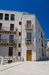 Fototapeta premium Historical palace.