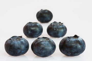 Blueberries in rows
