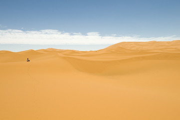 Fototapeta na wymiar Into the desert