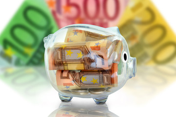 Sparschwein 20