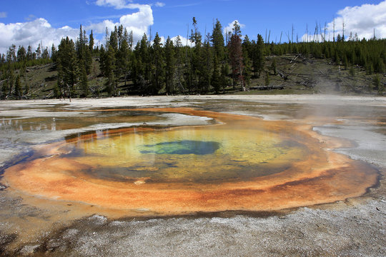 USA - Yellowstone NP-Chromatic Pool 02