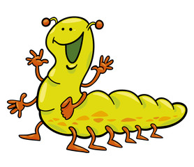 funny caterpillar