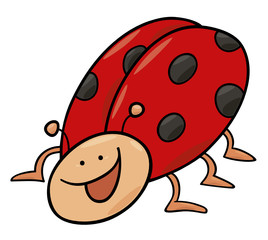 funny ladybug