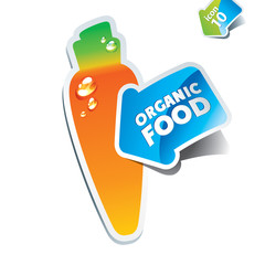Icon carrot with an arrow by organic food